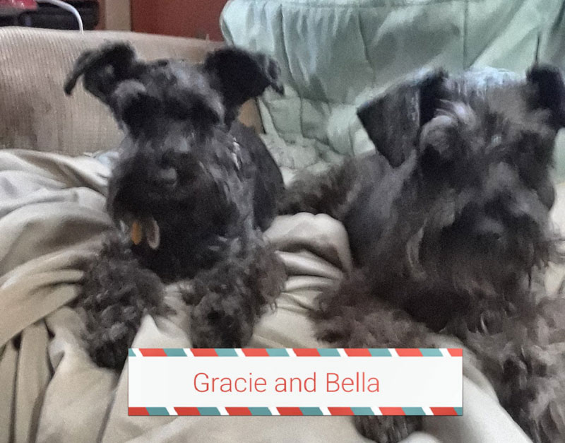 Gracie and Bella