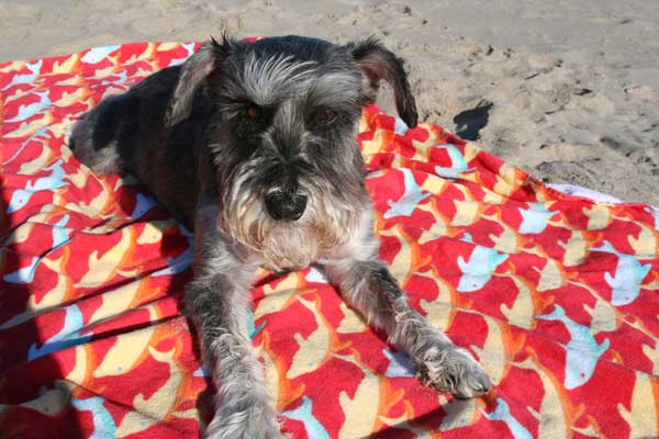 On my beach blanket