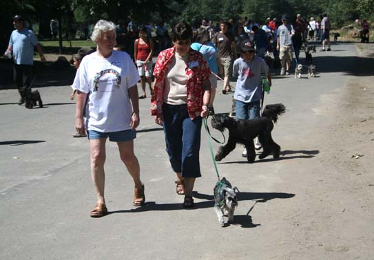 Wally takes Nancy on a dog walk