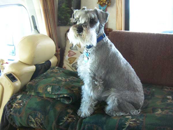 Carys in motorhome