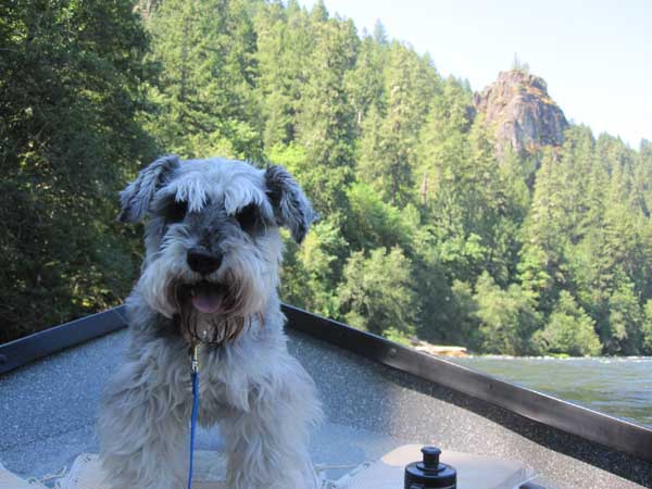 . . . on the McKenzie River