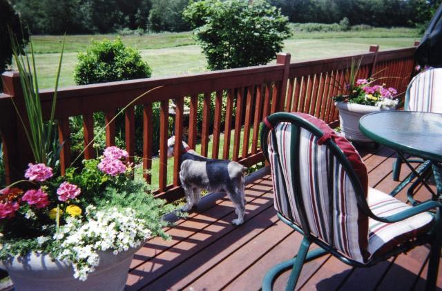 Heidi checks out the grounds