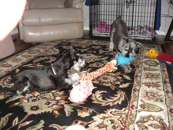 Rickie (with blue toy) plays with his sister, Lucie