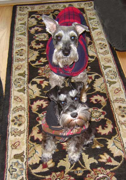 Rickie (in red) with Lucie, dressed to kill!