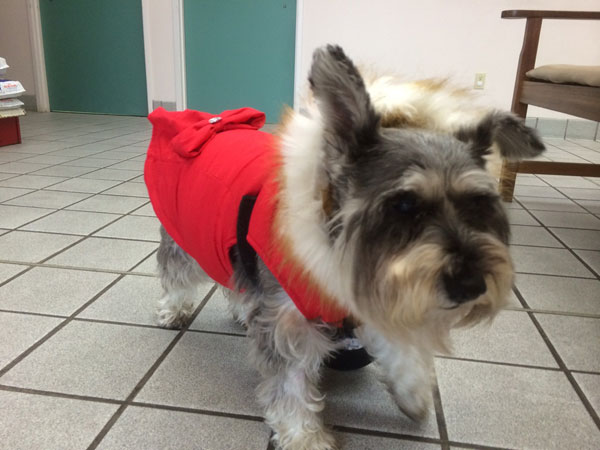 Sadie in her Winter Parka with Fur Ruff